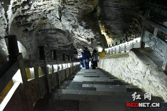 张家界黄龙洞邀请你走一走亿万年前的化石游道
