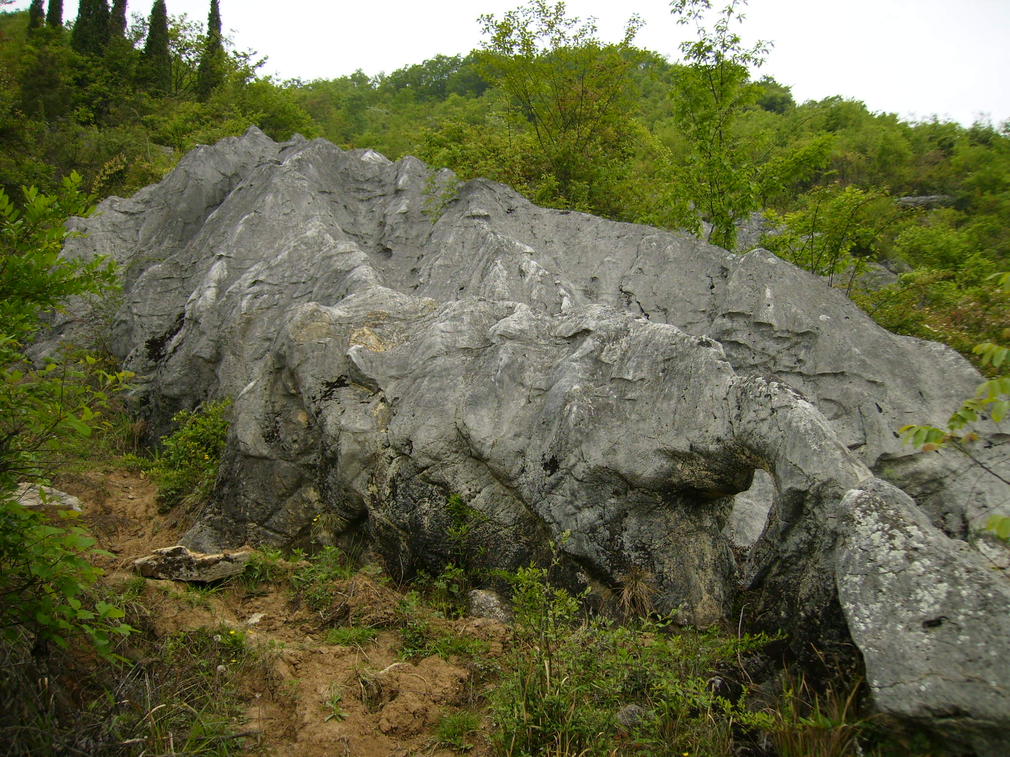 石灰岩地貌图片
