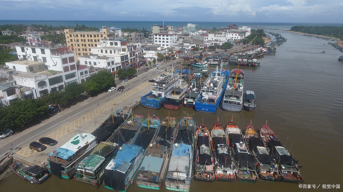 琼海龙湾港探秘:麒麟菜盛宴与热带海滨的浪漫邂逅!