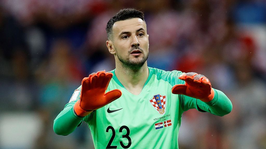 门将:丹尼埃尔·苏巴西奇