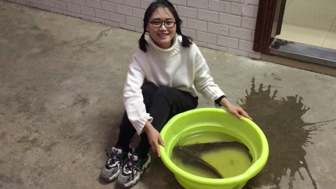 大家能吃猪大肠,却不能接受埃及鱼,这是为什么呢?