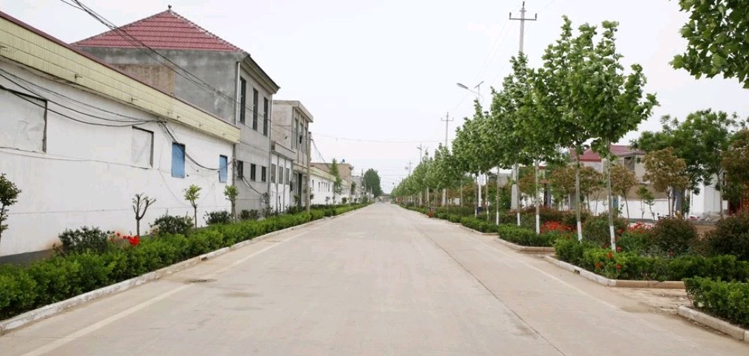 郯城街道:组织"擂台赛"逐村观摩找亮点促发展