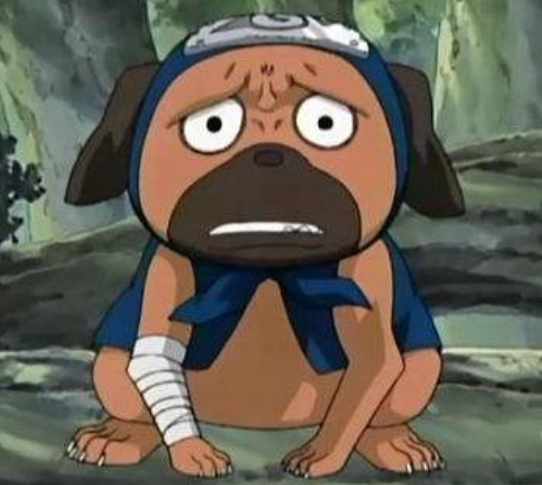 4,蛤蟆龙,它的爸爸是蛤蟆文太,哥哥是蛤蟆吉,它比较贪吃,不过它长的