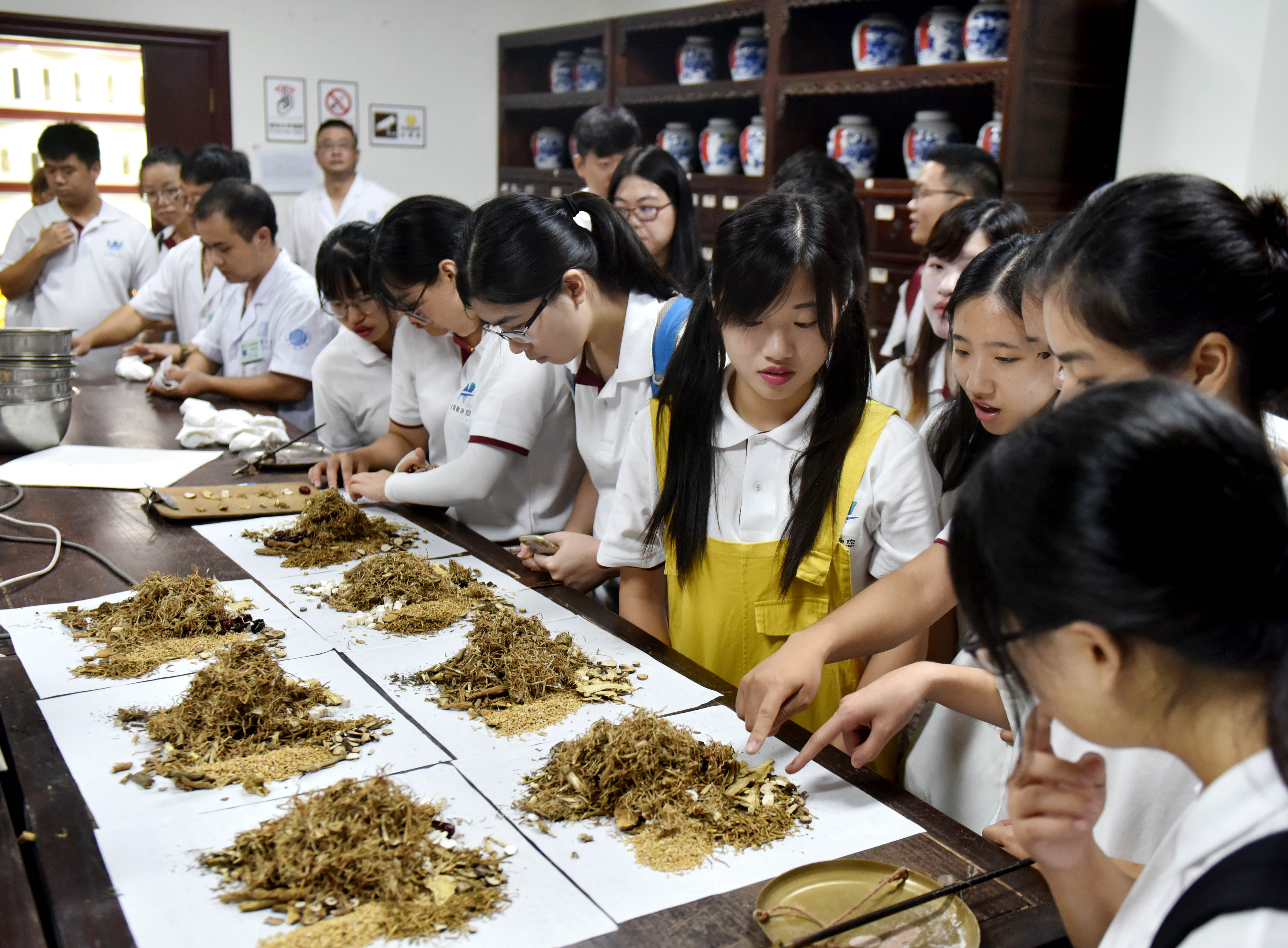 香港学子浙江武义学中医(2)