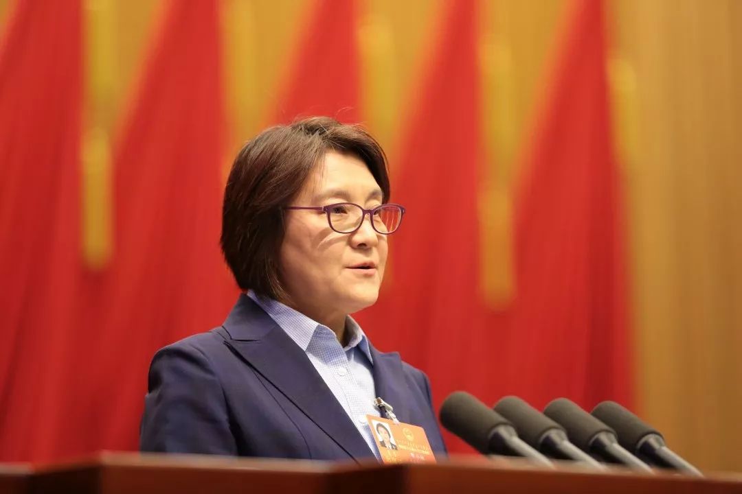 布小林:支持荒漠,采煤沉陷区,矿区建设光伏电站和风电基地