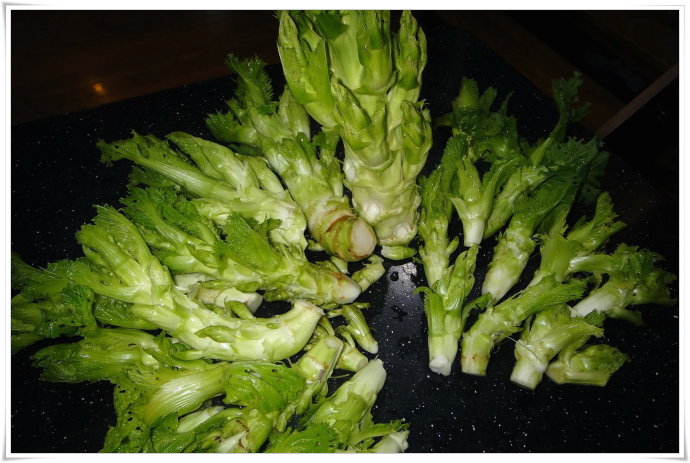 农村的健康野菜,预防视力衰退,预防夜盲症 ,营养又健康
