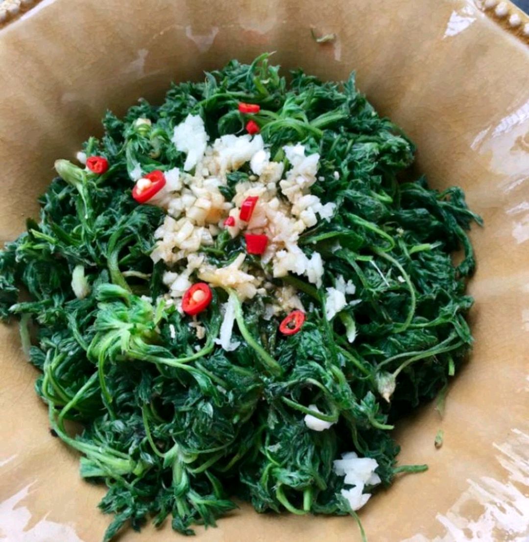 三月茵陈四月蒿,都4月了,茵陈蒿吃了会有副作用吗?