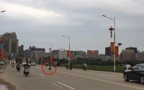 【头条】惠东黄埠吉黄路马路中间,发生惊奇一幕!发生什么事?