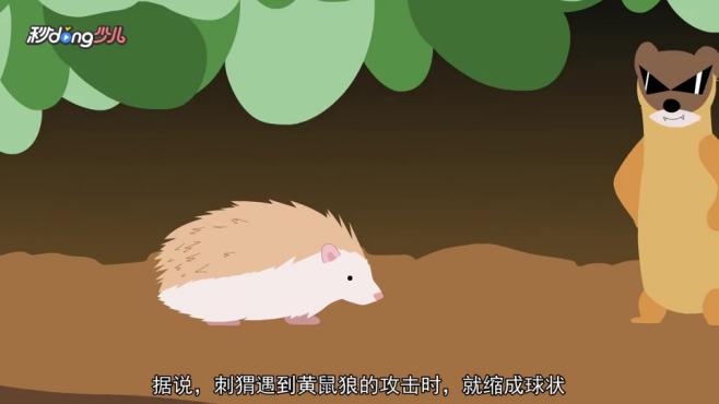 [图]刺猬的天敌是什么？