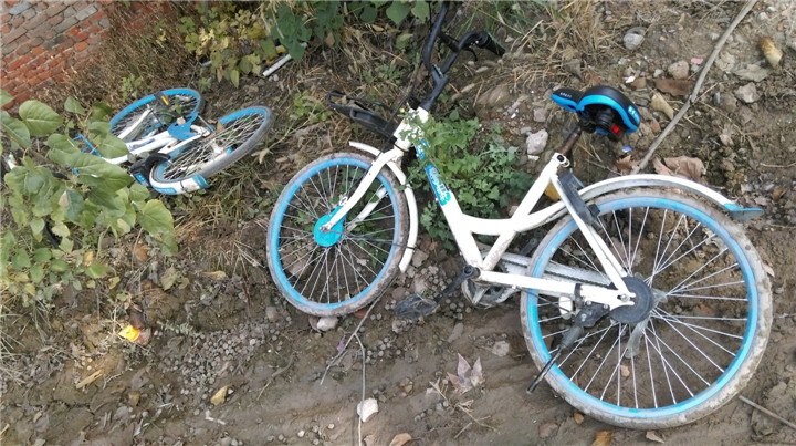 路边随拍,一组共享单车被弃的照片!