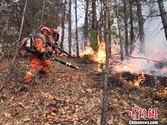 丽江宁蒗县突发森林火灾 各线火势已得到控制