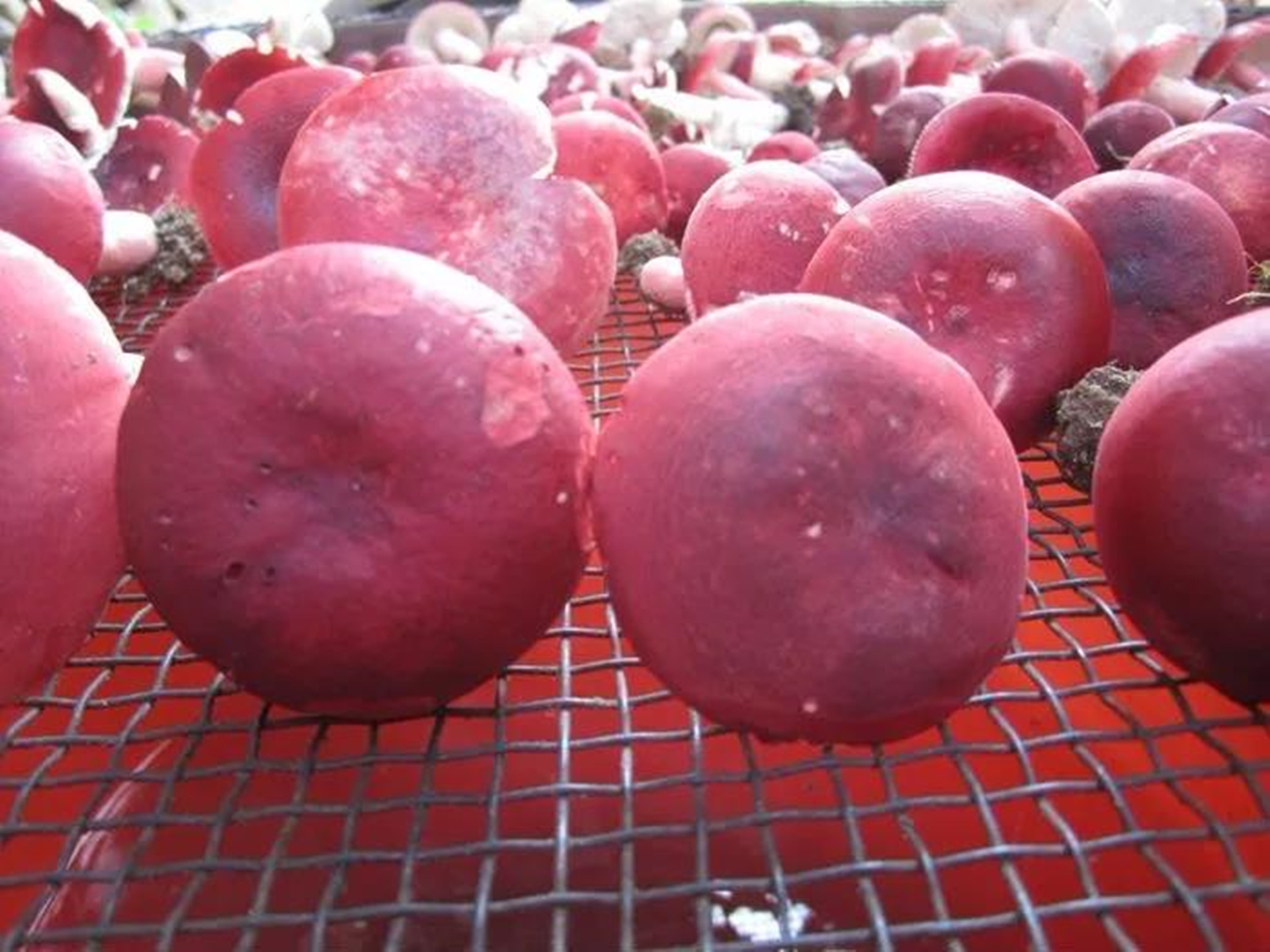 烘干机 - 热门商品专区