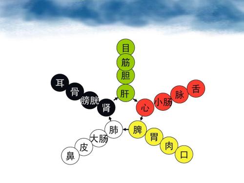 乾隆御医黄元御:人体的五官与五脏究竟有什么联系?你知道吗?