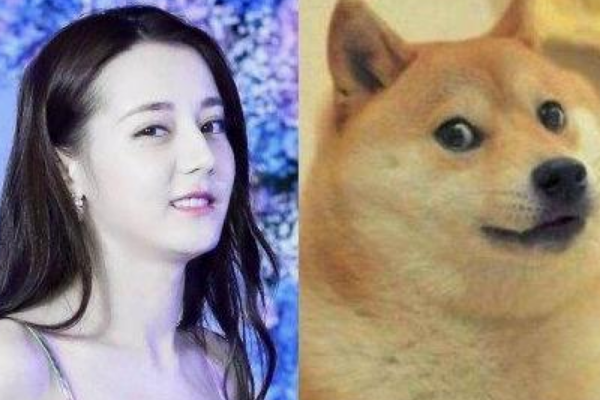 明星撞脸表情包:马思纯的微笑上榜,第4张承包了我半年的笑点