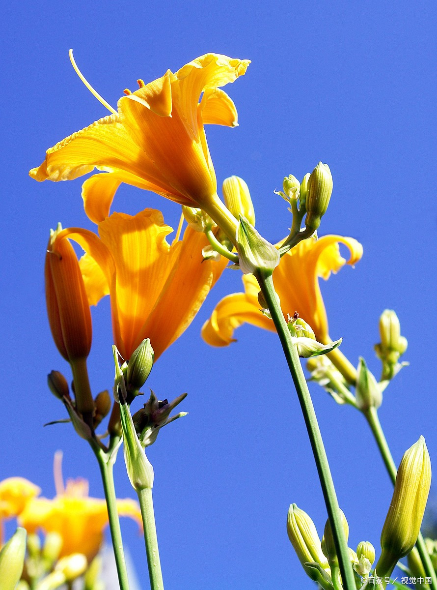 890_1200竖版 竖屏