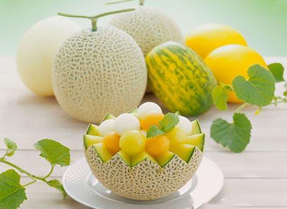 想要甜瓜长得好,驱除虫害少不了,一起看看吧