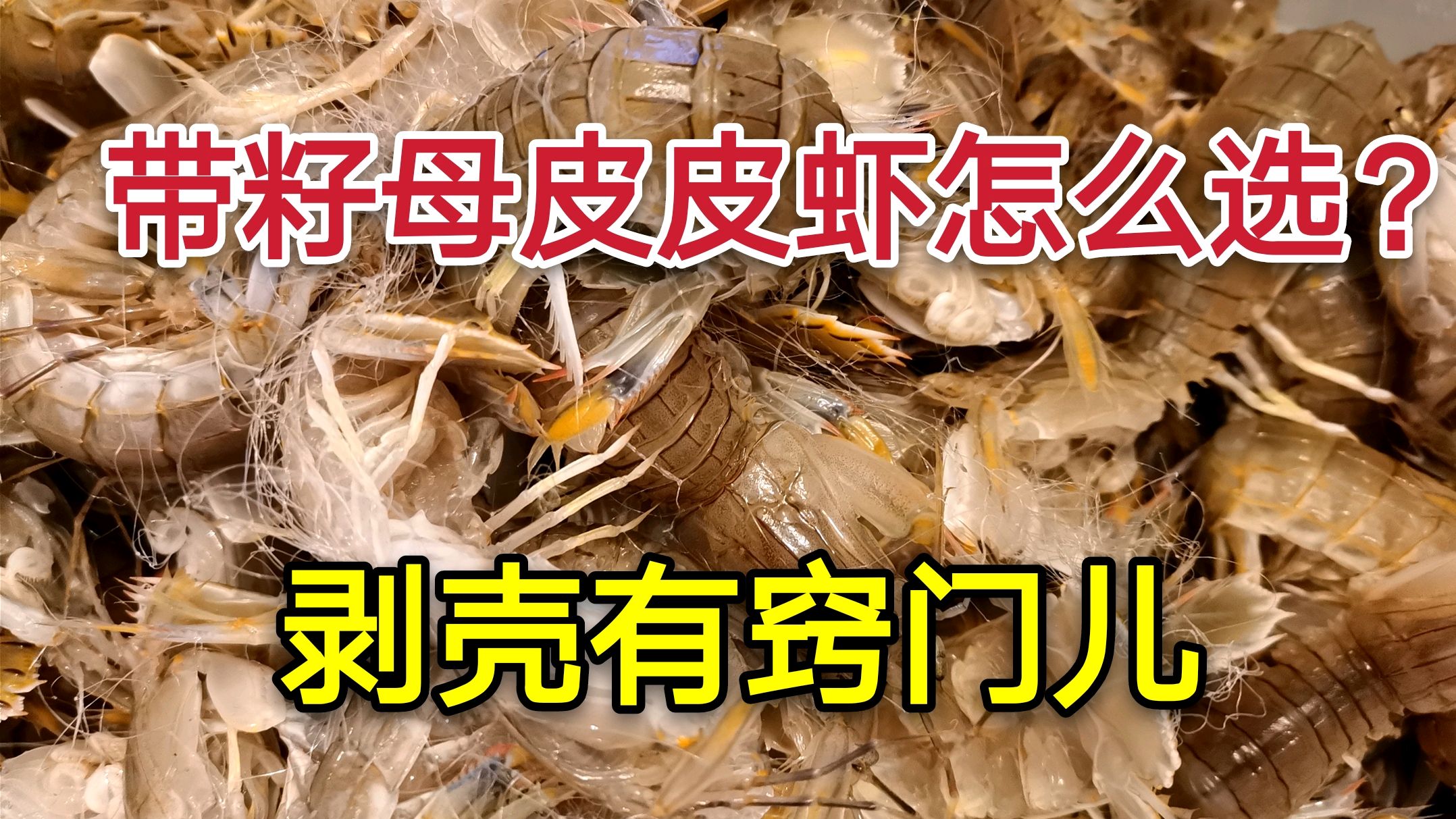 刚下船10斤皮皮虾才花300元?物有所值,看海边人选母虾剥壳儿窍门