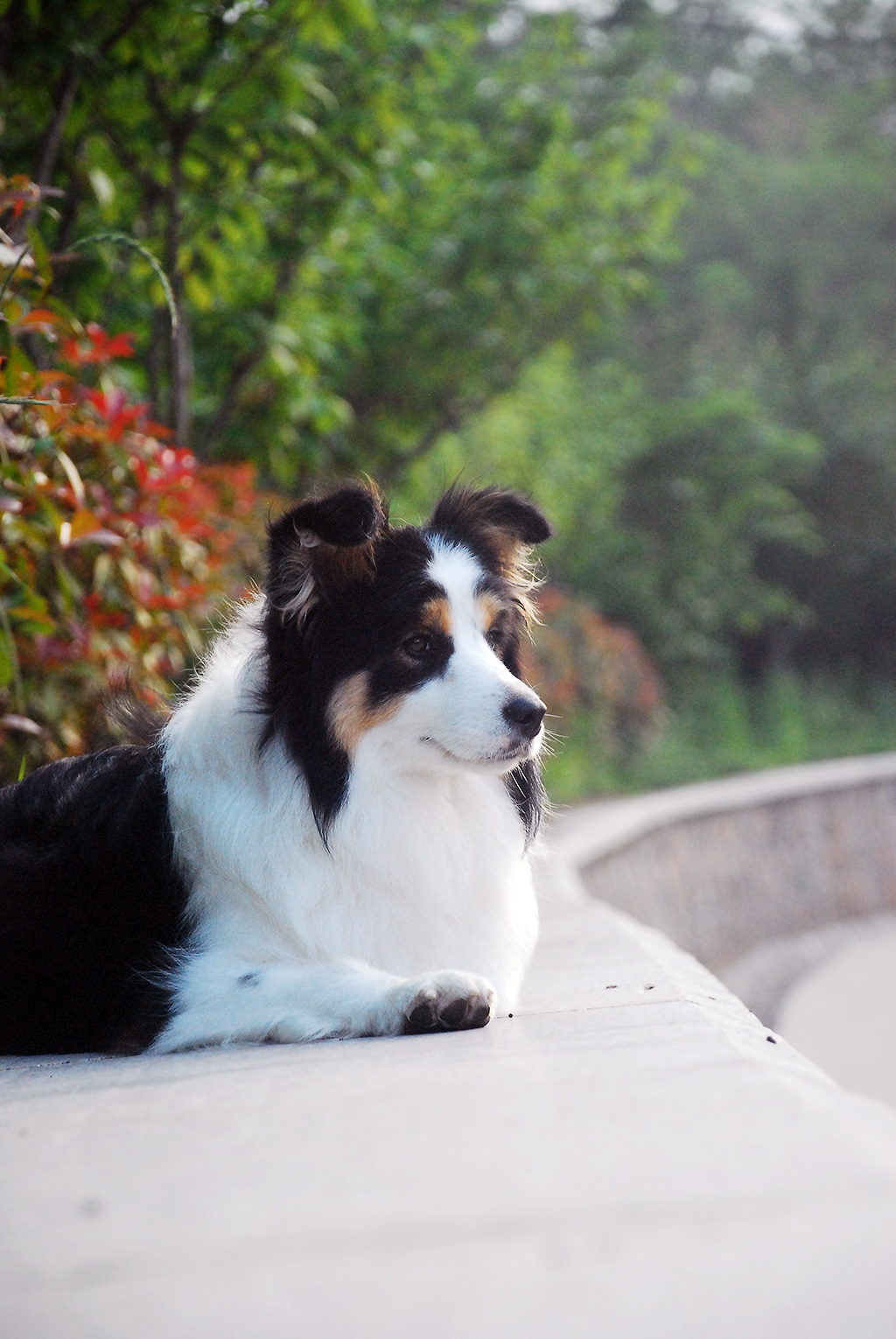 明日之后——让你从非洲人到欧洲人的赚钱法