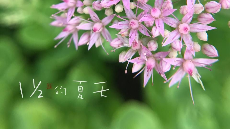 想用手机拍出"清晰干净,主体明确画面"|要避免"两个字