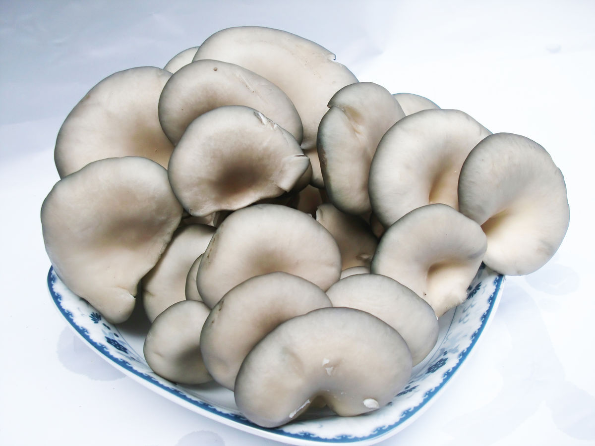 常吃这种菜,越吃越健康,真是后悔没有早知道