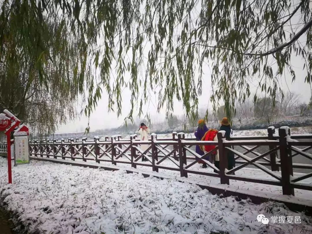 美哭了,小编带您欣赏夏邑第一场雪后的颜值!