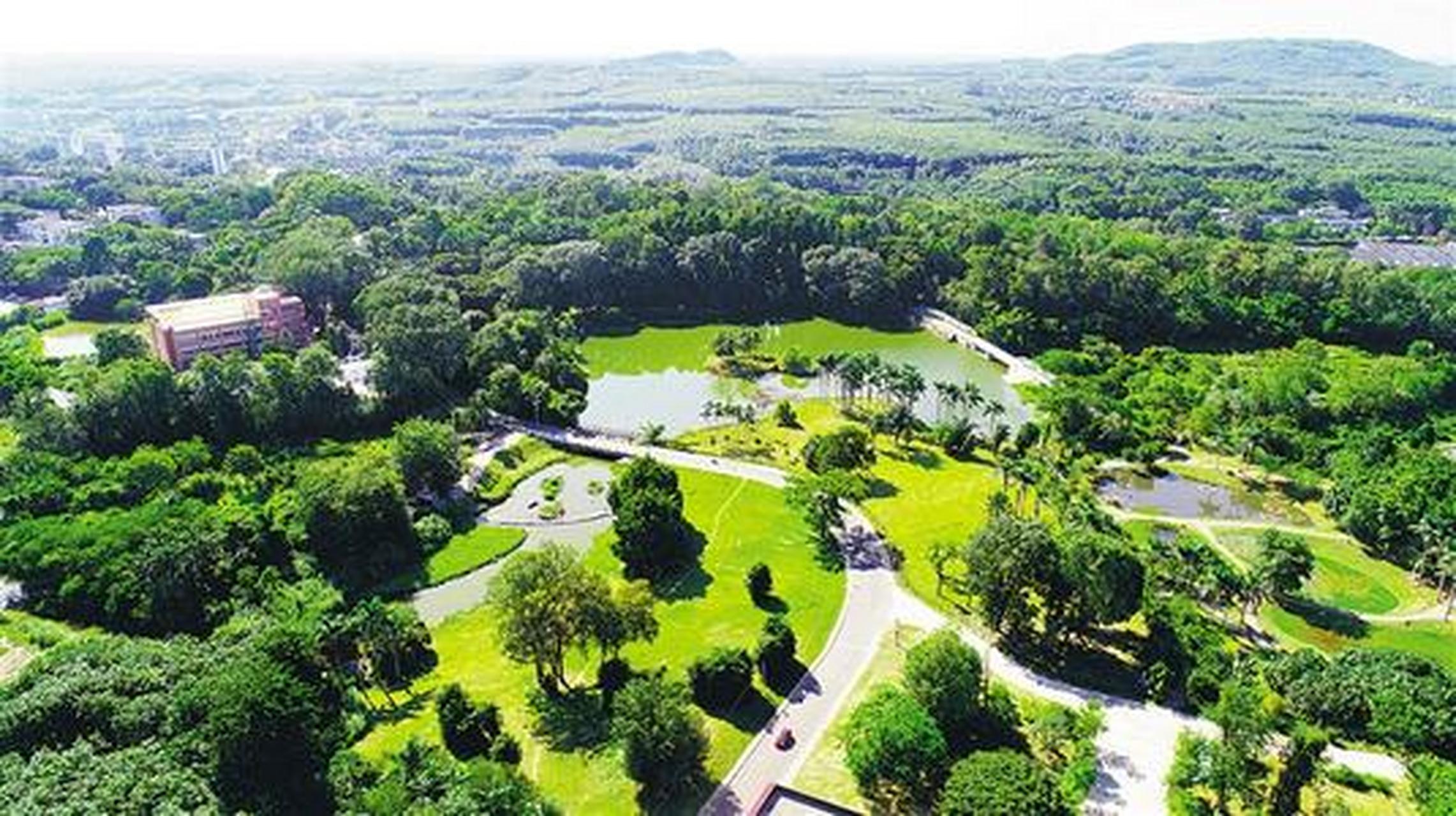 万物皆可云##云游全世界#儋州热带植物园:儋州热带植物园位于海南