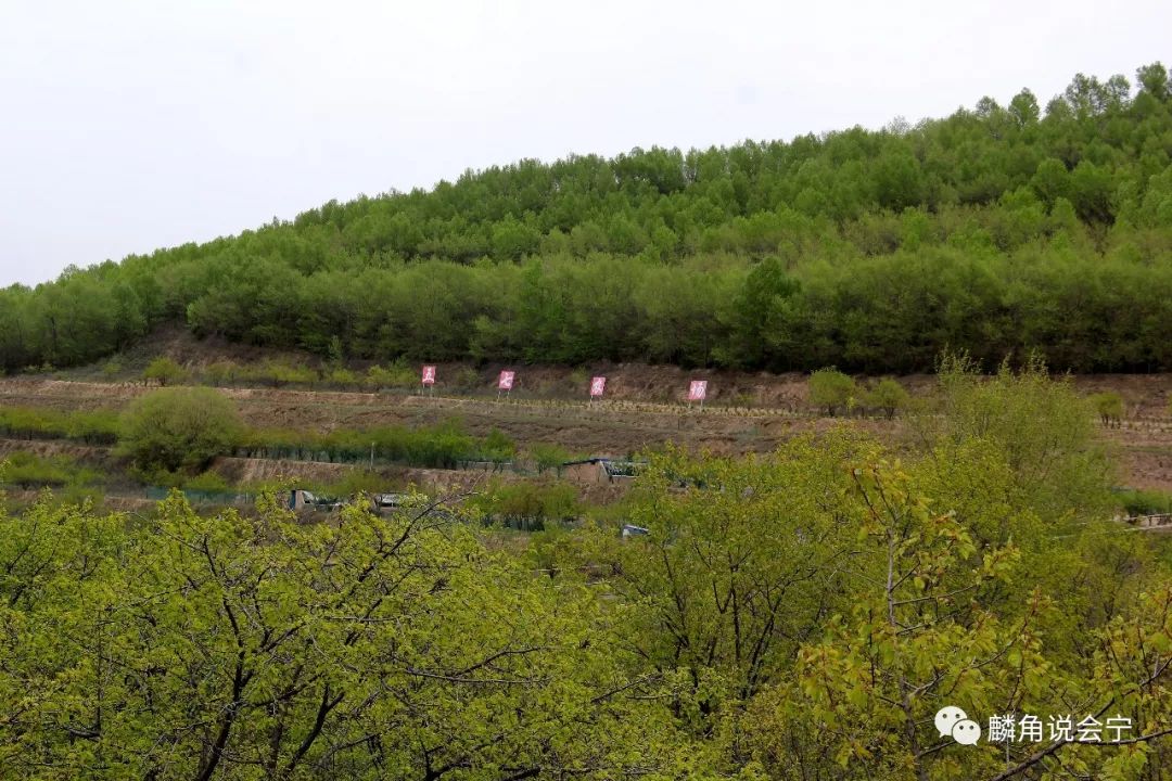 中央,省,市二十余家媒体盯上会宁五七农场了