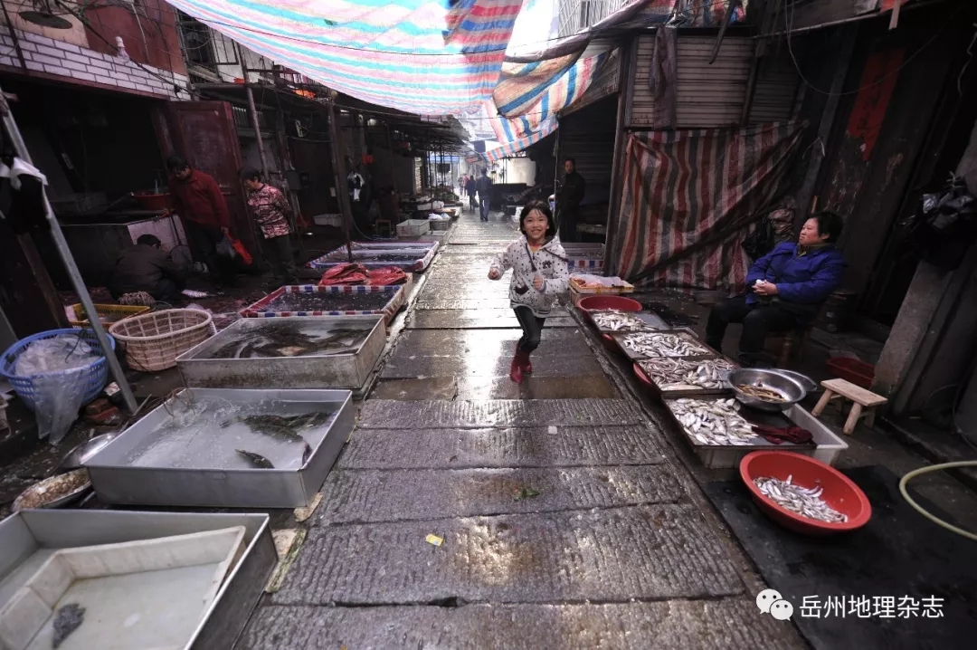 岳州鱼市,鲜香了2000年的码头