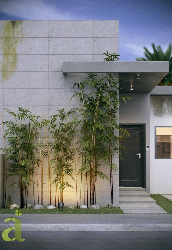 儒雅气质非常明显,因为种植了矮竹子,竹子向来乃君子所爱,瞬间让别墅