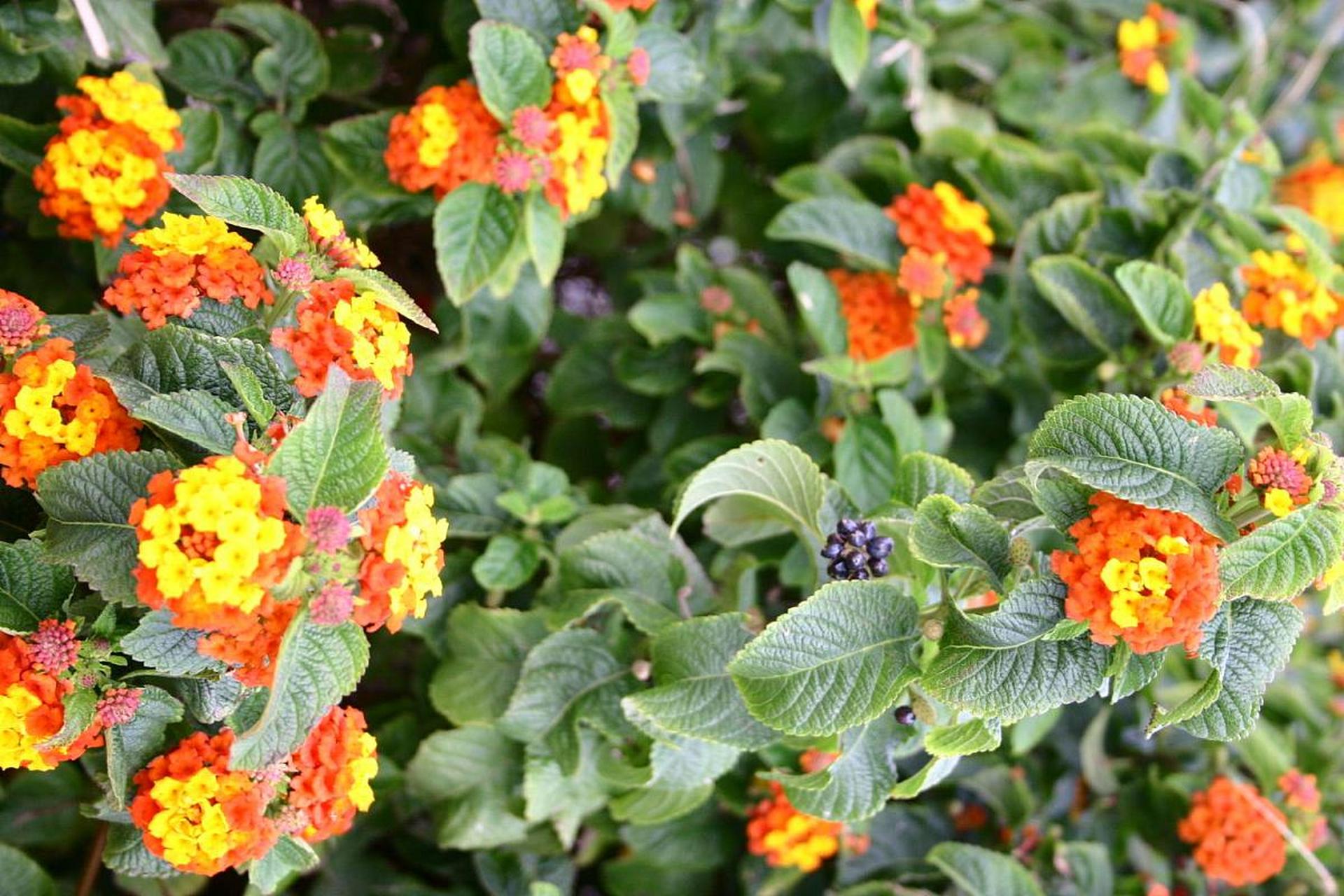 "天生我材必有用" 每一个人都有自己的价值和使命