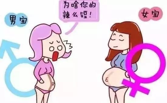 是凸的女孩概率大3乳頭周圍的黑色圈大的男孩概率大,小的女孩概率大