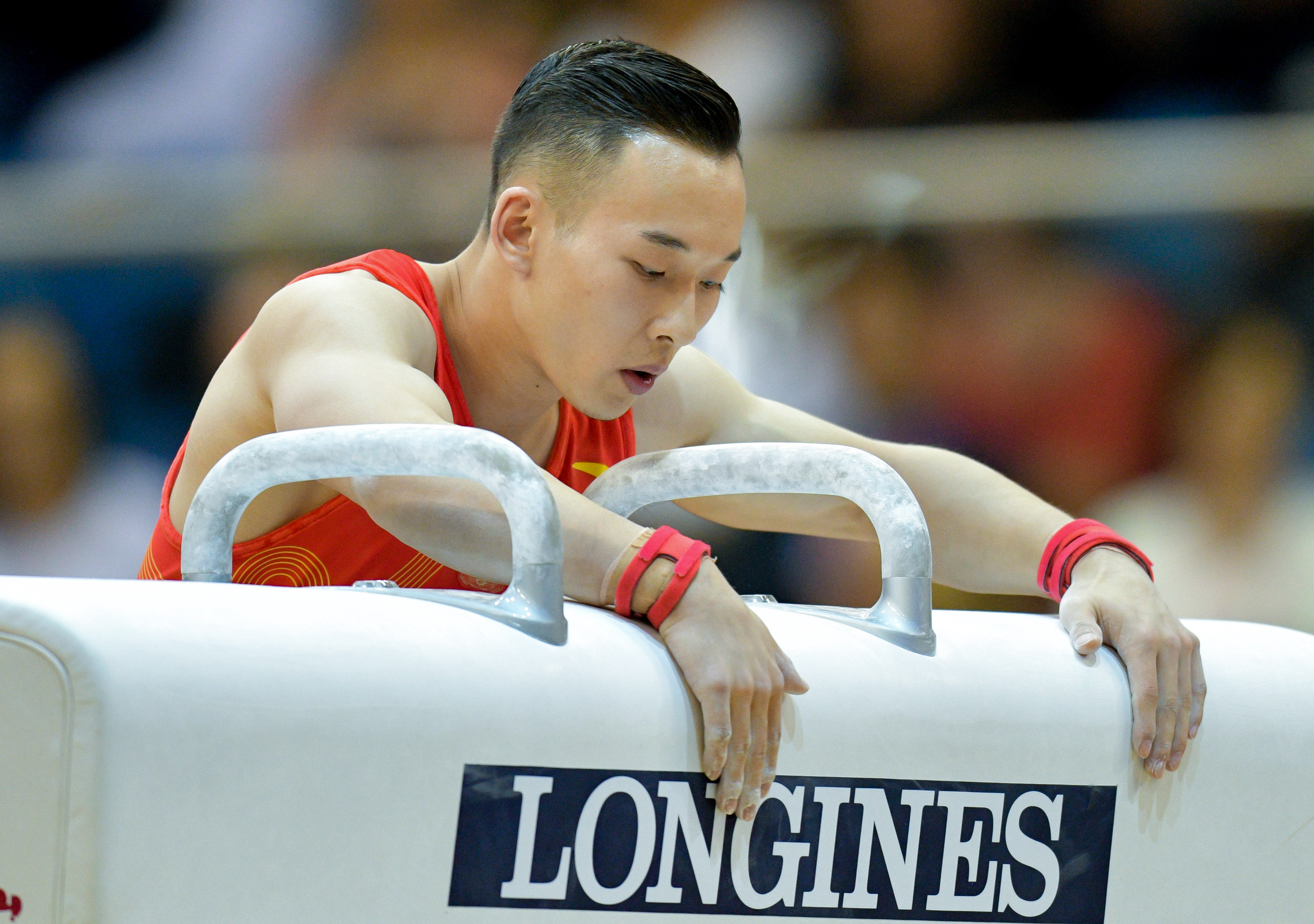 体操——世锦赛:肖若腾鞍马夺冠