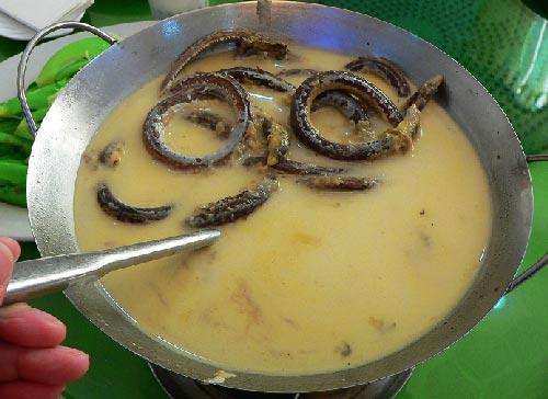 生孩子坐月子不产奶,婆婆让吃蚯蚓下奶,观念差异大怎么办?