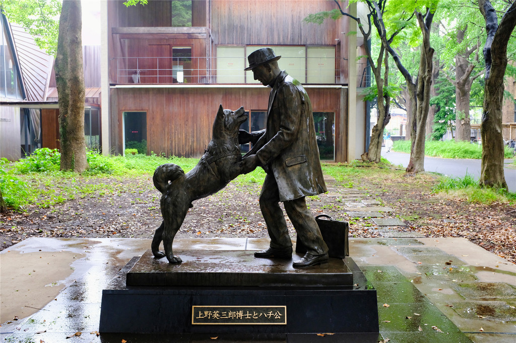 忠犬八公铜像地址图片