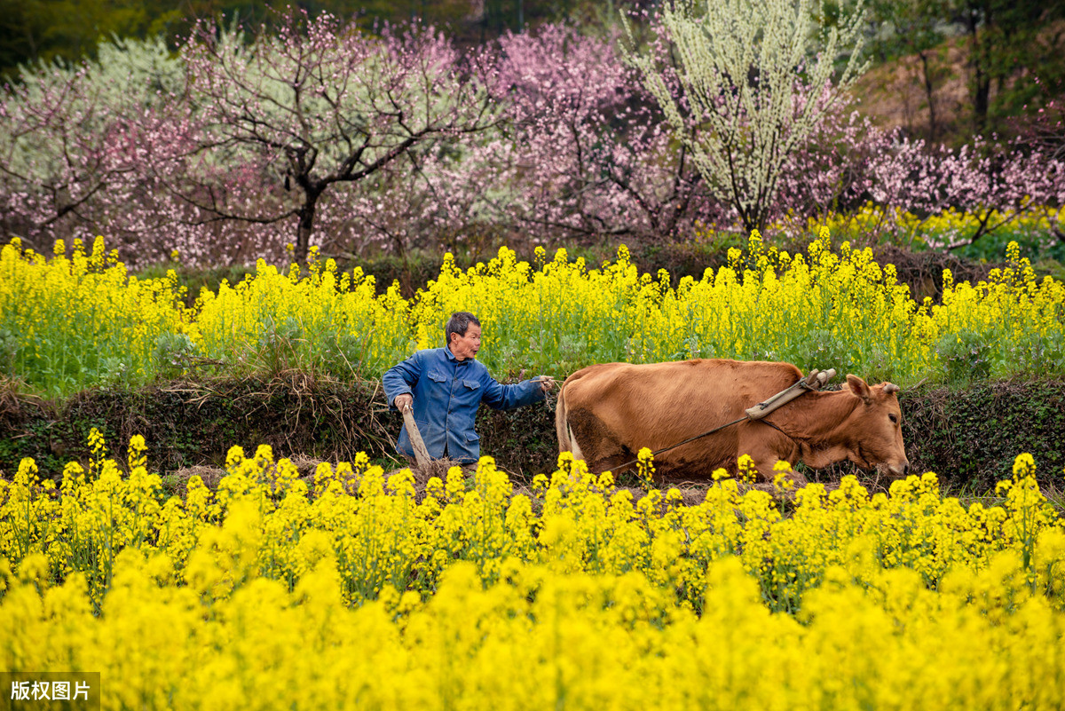春季倦怠,困乏无力?9个姿势来唤醒身体,打开春天的能量体!