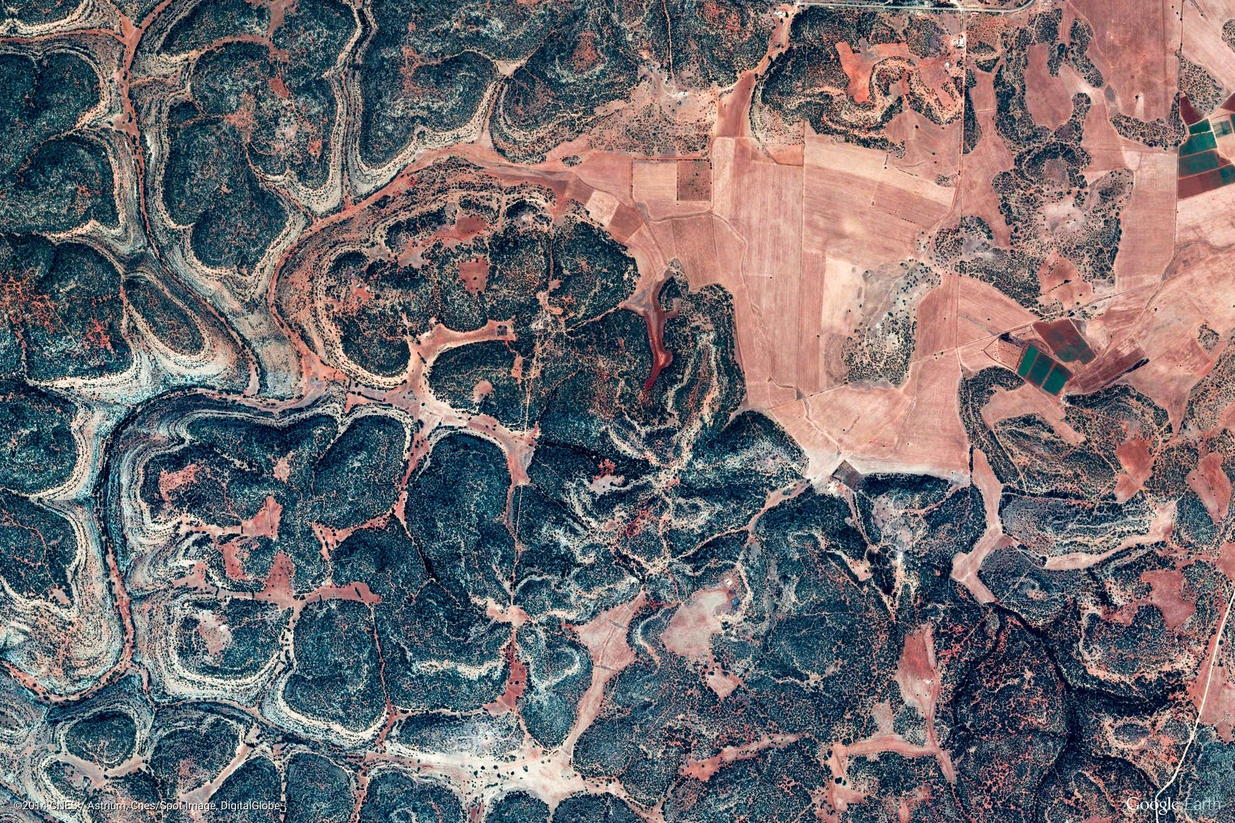 10张来自谷歌地图的卫星照片,俄罗斯的一条河流,像巨龙匍匐在地