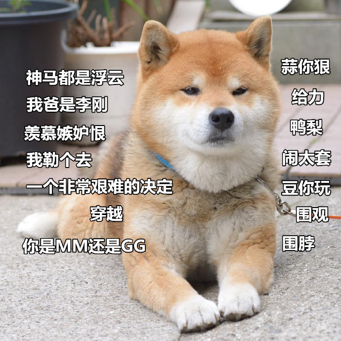 元宵节发朋友圈的搞笑说说,句句经典,让人忍不住笑喷