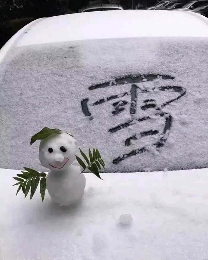 下雪花表情包图片