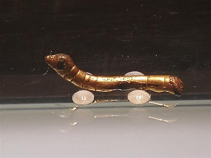 见证丝路辉煌的"鎏金铜蚕"