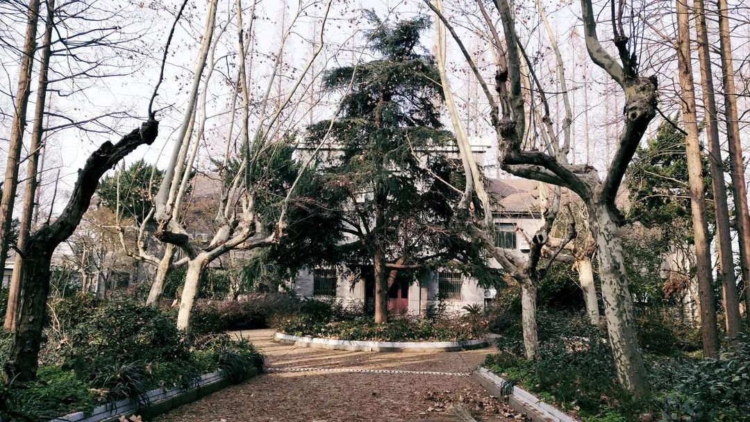 揭秘:《大江大河》剧外的南京冶山原来长这样!