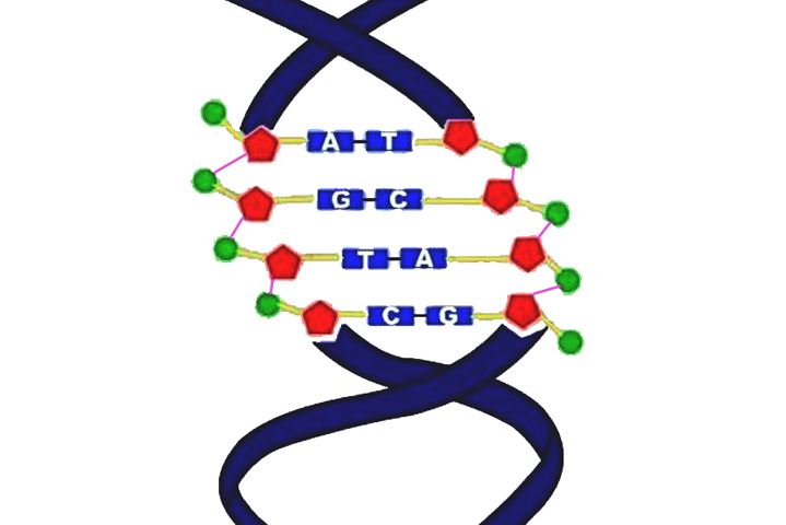 以自然選擇為核心的生物進化論