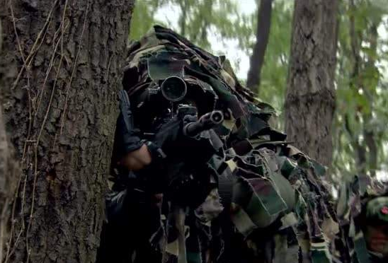 北京卫戍区"特种警备团","御林军"的带刀侍卫,正师级建制!