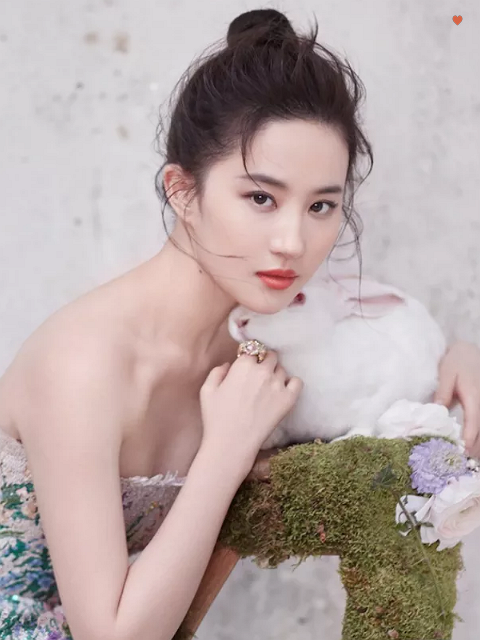 刘亦菲喜欢的5张照片,图3是多少人的手机壁纸!