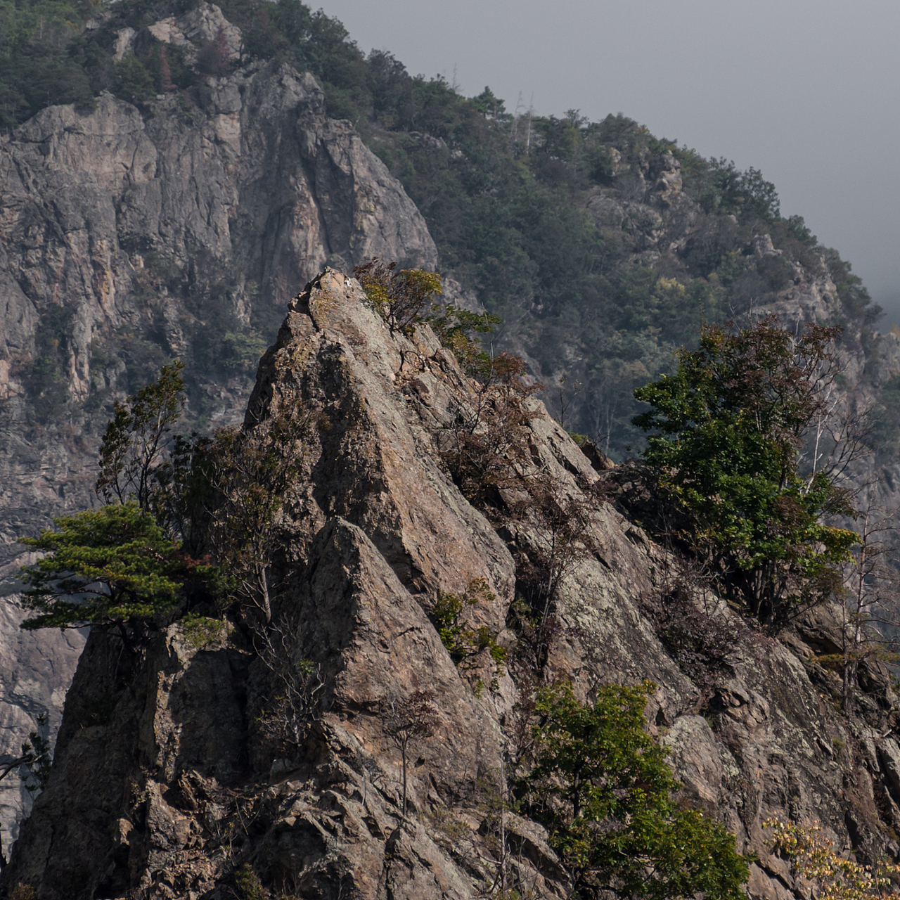 9015天台山:云端之上的历史画卷9015  五月花开,湖北的天台山