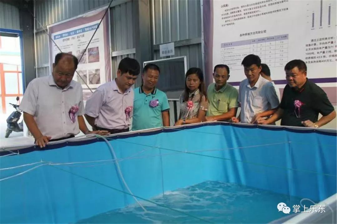 乐东县水产养殖和渔业旅游培训基地揭牌仪式在利国镇望楼港举行