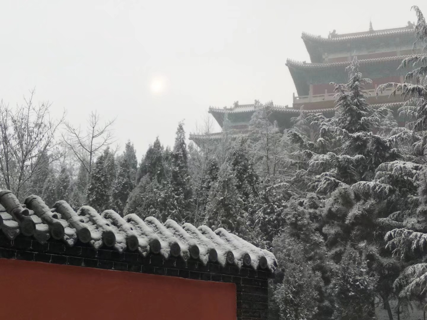 正月十五雪打灯,预兆今年好风景