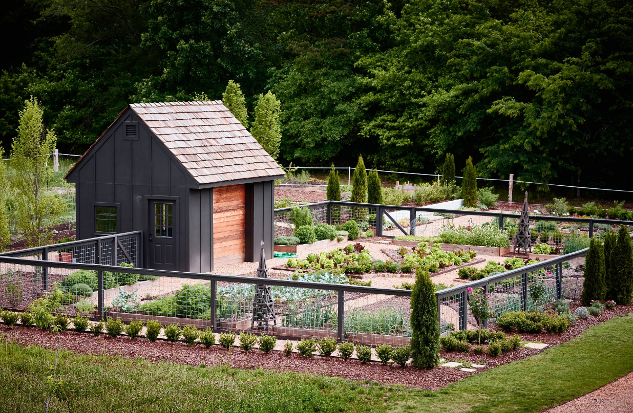 用藤条编制出蔬菜分割区域,种植了多种多样的蔬菜 转