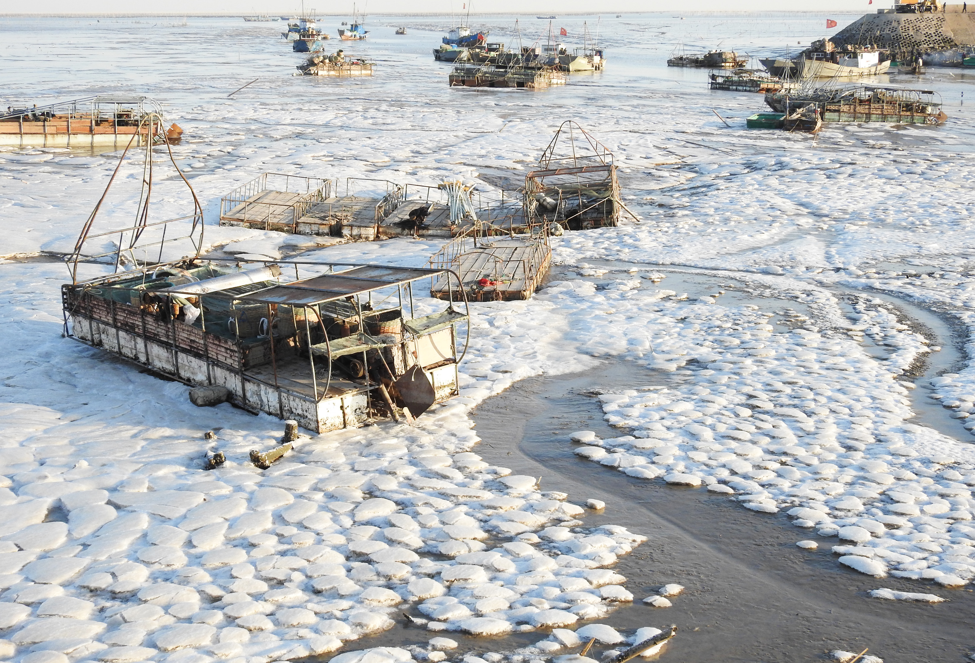 (环境)(1)连云港沿海出现大面积海冰