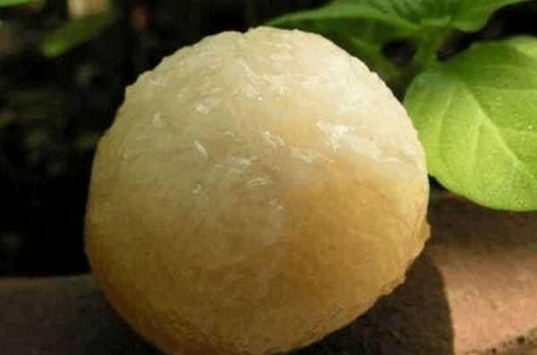 农民叫一种野果"鼻涕枣",城里人没见过,但味道很不错