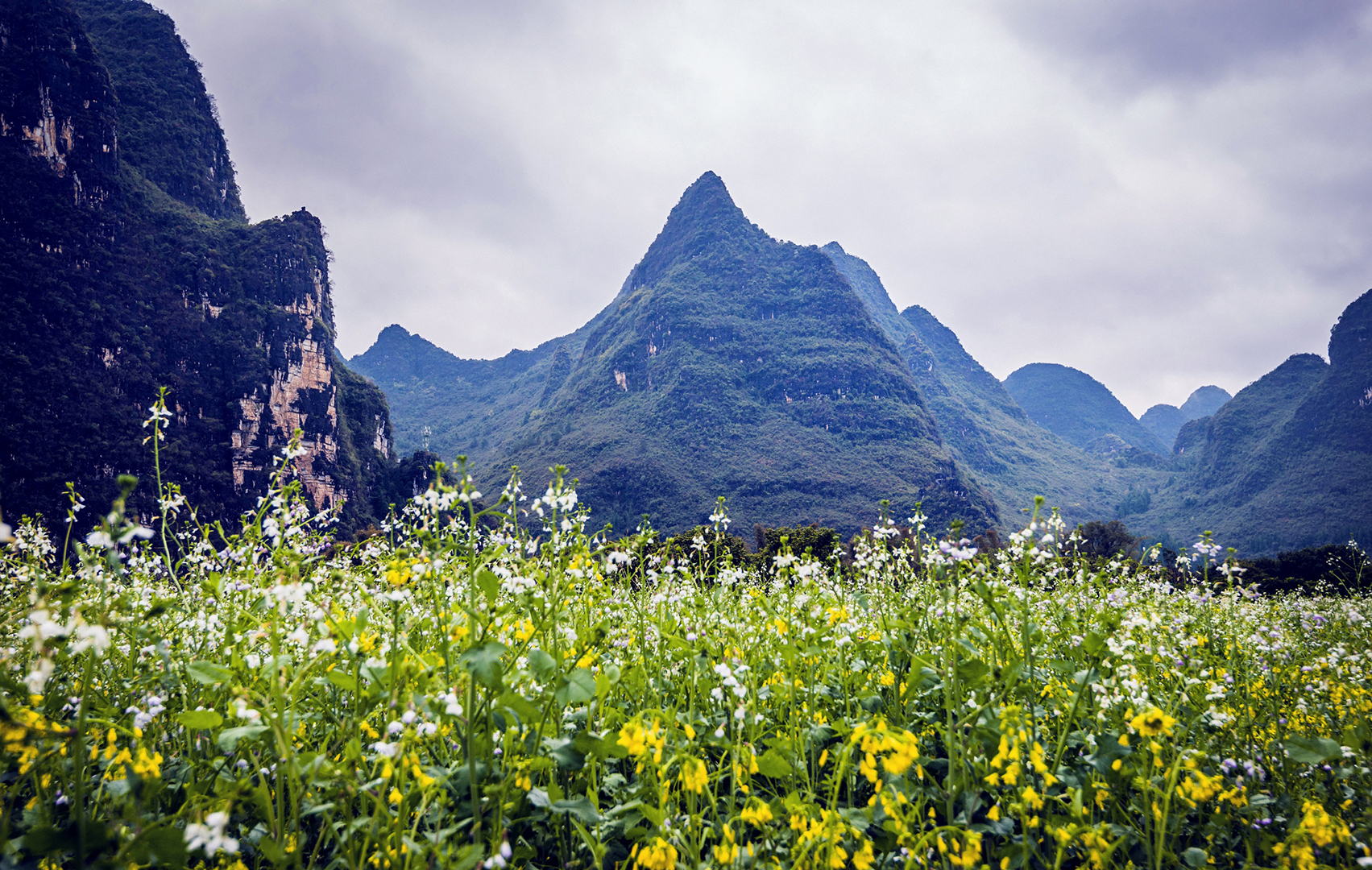 春天已经来到漓江边,正是看美景的好时候